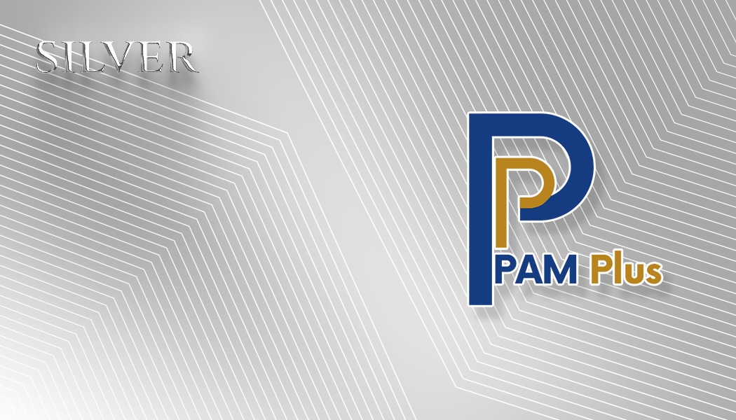 PAM Plus Silver Tier card
